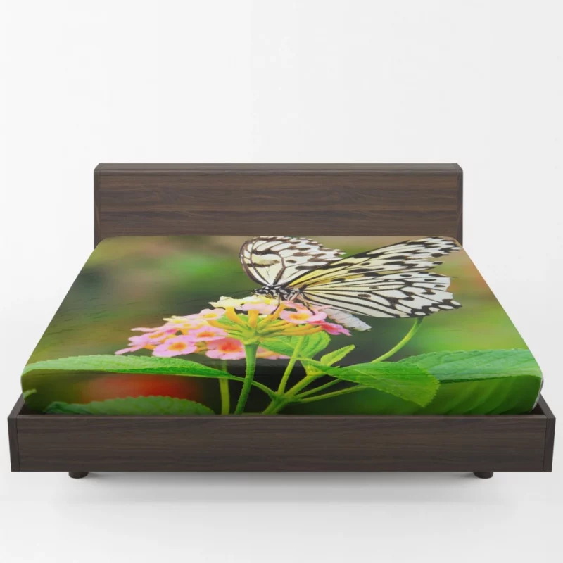 Butterfly Beauty Nature Elegance Fitted Sheet