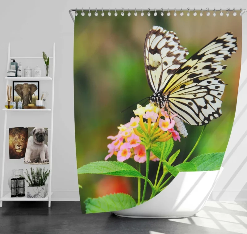 Butterfly Beauty Nature Elegance Shower Curtain