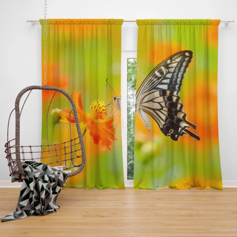 Butterfly Beauty Nature Grace Curtain