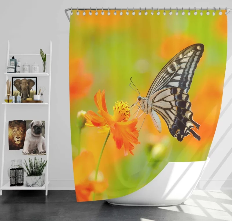 Butterfly Beauty Nature Grace Shower Curtain