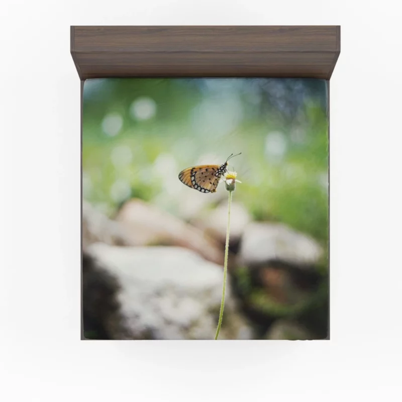 Butterfly Bokeh Beauty Insect Elegance Fitted Sheet 1