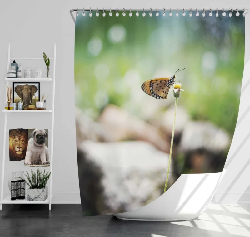 Butterfly Bokeh Beauty Insect Elegance Shower Curtain