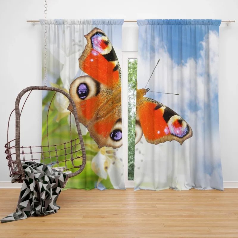 Butterfly Colorful Dance Nature Elegance Curtain