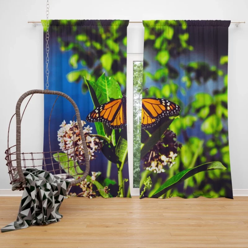 Butterfly Cute Curtain