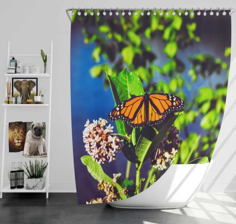 Butterfly Cute Shower Curtain