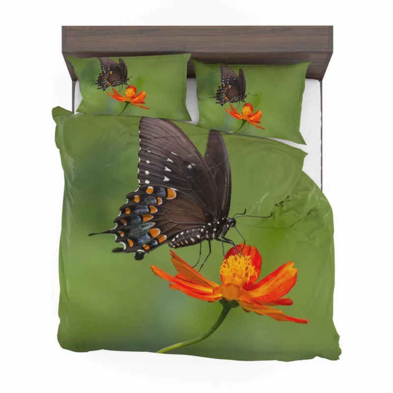 Butterfly Dance on Orange Flower Vivid Elegance Bedding Set 1