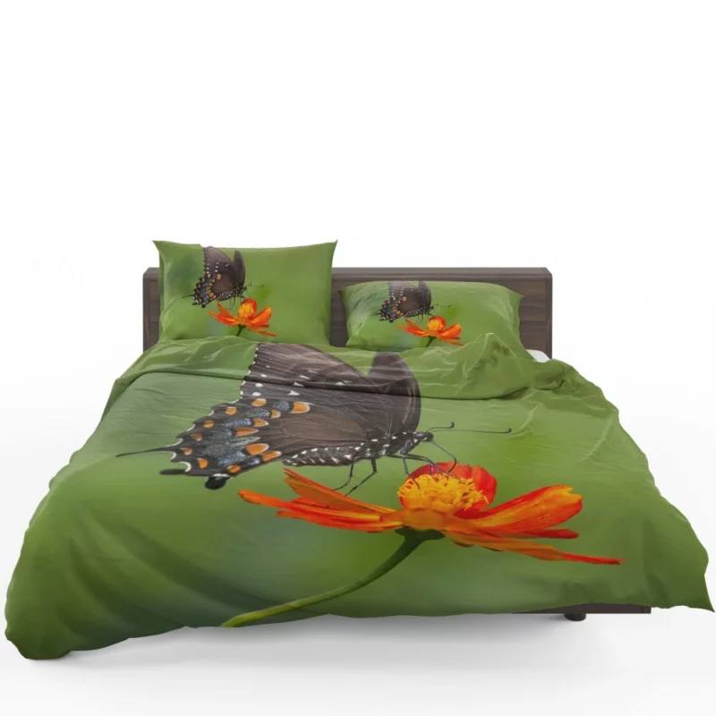 Butterfly Dance on Orange Flower Vivid Elegance Bedding Set