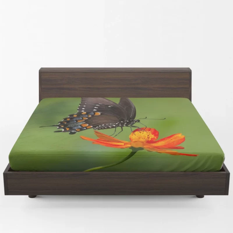 Butterfly Dance on Orange Flower Vivid Elegance Fitted Sheet