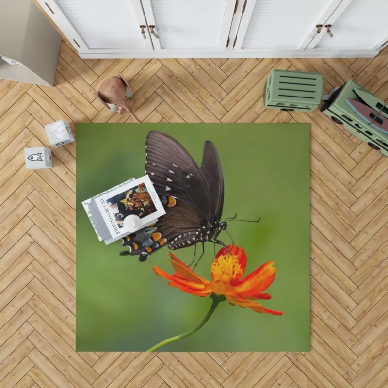 Butterfly Dance on Orange Flower Vivid Elegance Rug