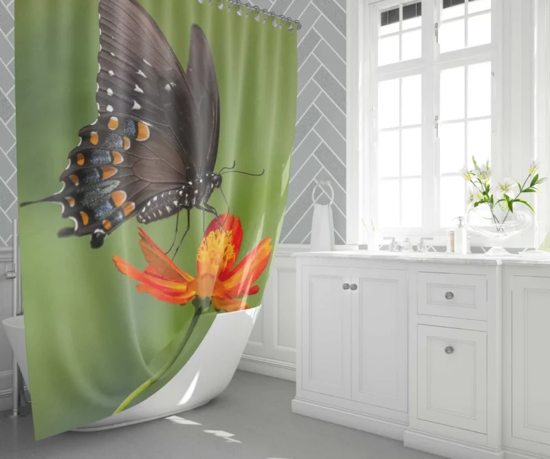 Butterfly Dance on Orange Flower Vivid Elegance Shower Curtain 1