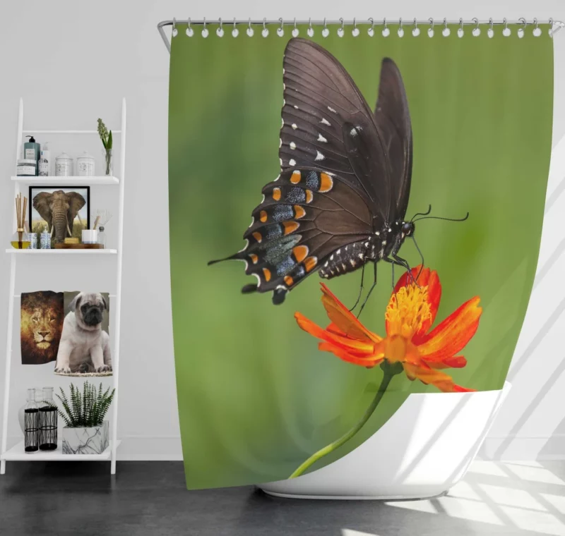 Butterfly Dance on Orange Flower Vivid Elegance Shower Curtain