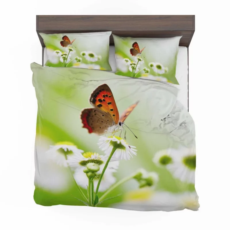 Butterfly Delicate Elegance Floral Intrigue Bedding Set 1