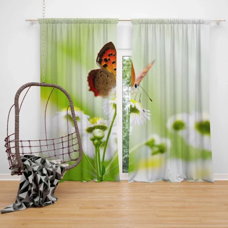 Butterfly Delicate Elegance Floral Intrigue Curtain