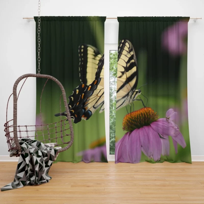 Butterfly Elegance Ethereal Beauty Curtain