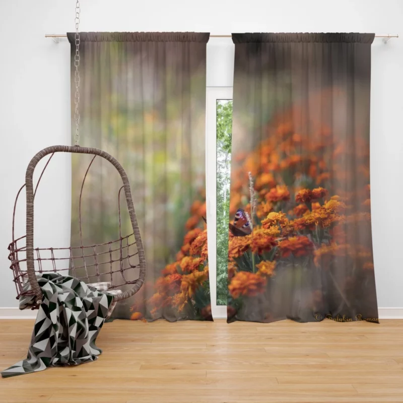 Butterfly Elegance Nature Marvel Curtain