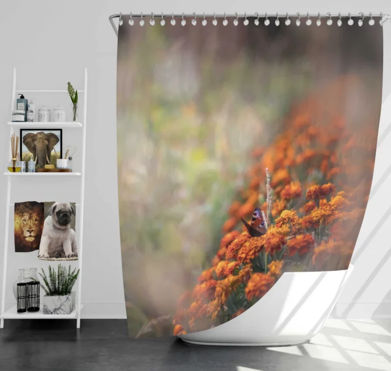 Butterfly Elegance Nature Marvel Shower Curtain