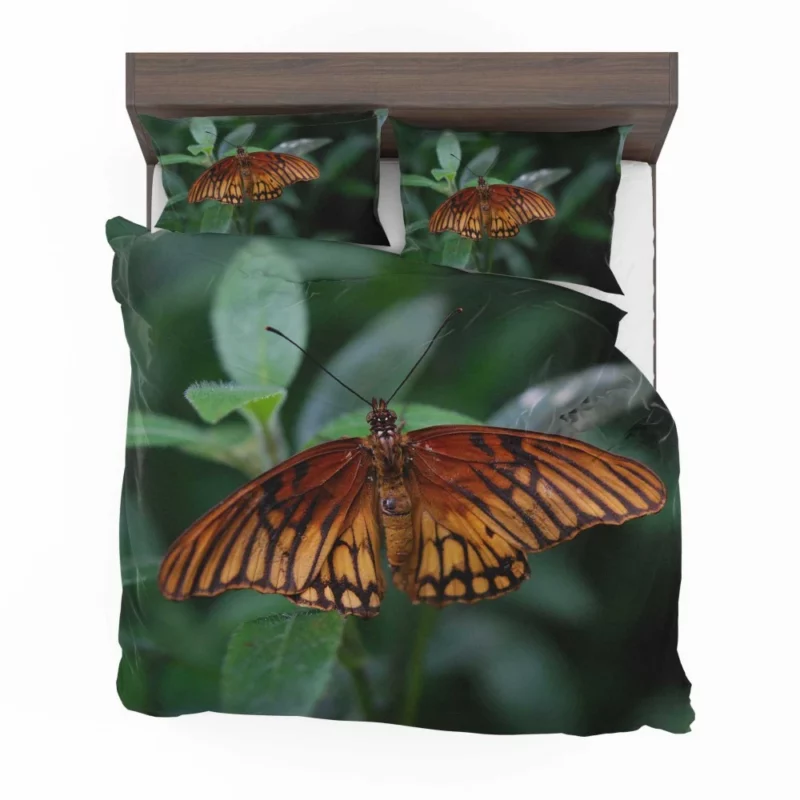 Butterfly Enigmatic Beauty Nature Intrigue Bedding Set 1