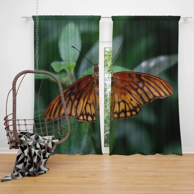 Butterfly Enigmatic Beauty Nature Intrigue Curtain