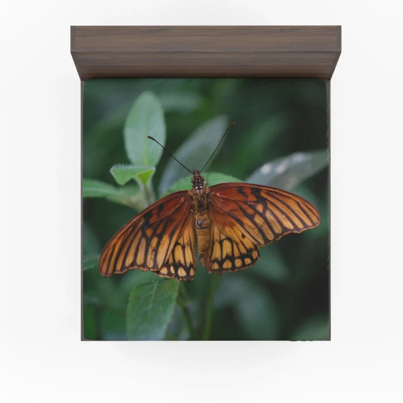 Butterfly Enigmatic Beauty Nature Intrigue Fitted Sheet 1