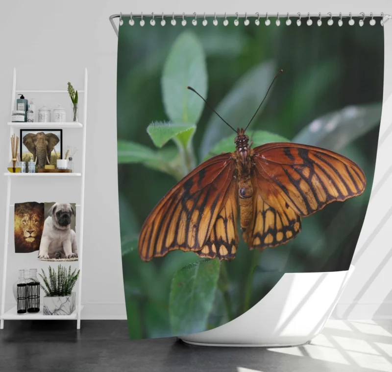 Butterfly Enigmatic Beauty Nature Intrigue Shower Curtain