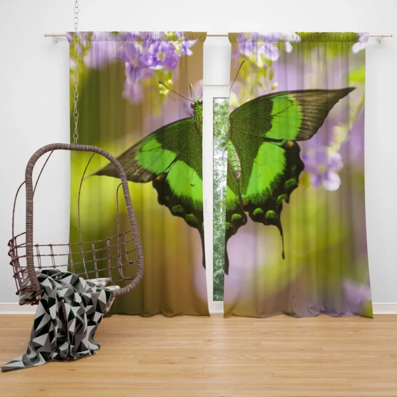 Butterfly Floral Dance Nature Beauty Curtain