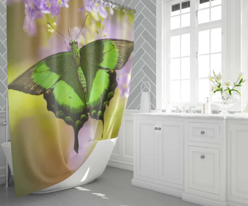 Butterfly Floral Dance Nature Beauty Shower Curtain 1