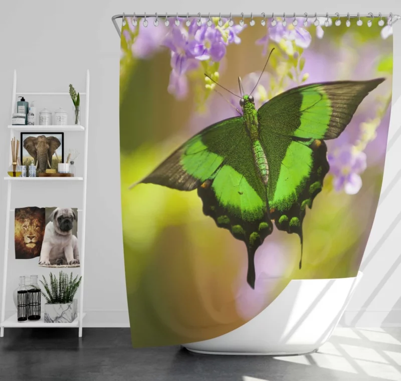 Butterfly Floral Dance Nature Beauty Shower Curtain