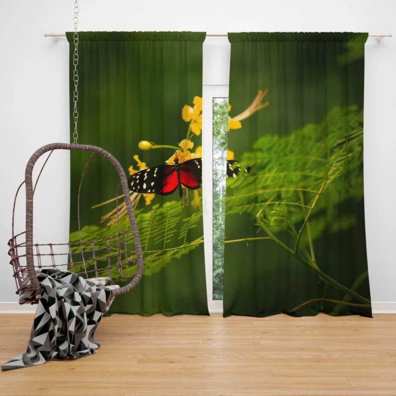 Butterfly Gentle Flight Nature Whimsy Curtain