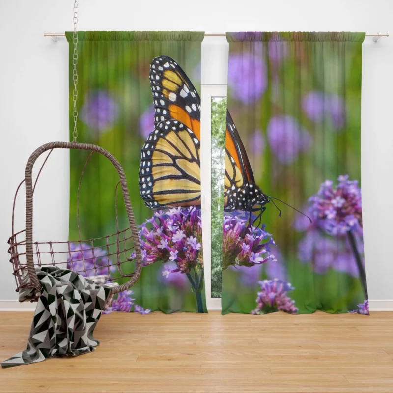 Butterfly Grace Nature Dance Curtain