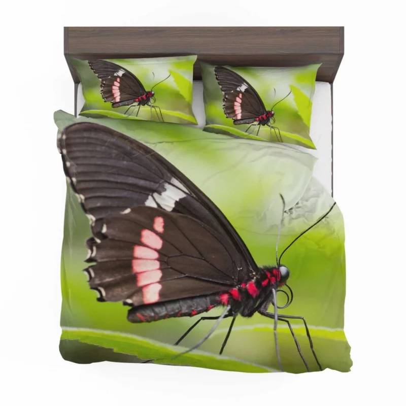 Butterfly Graceful Flight Nature Beauty Bedding Set 1