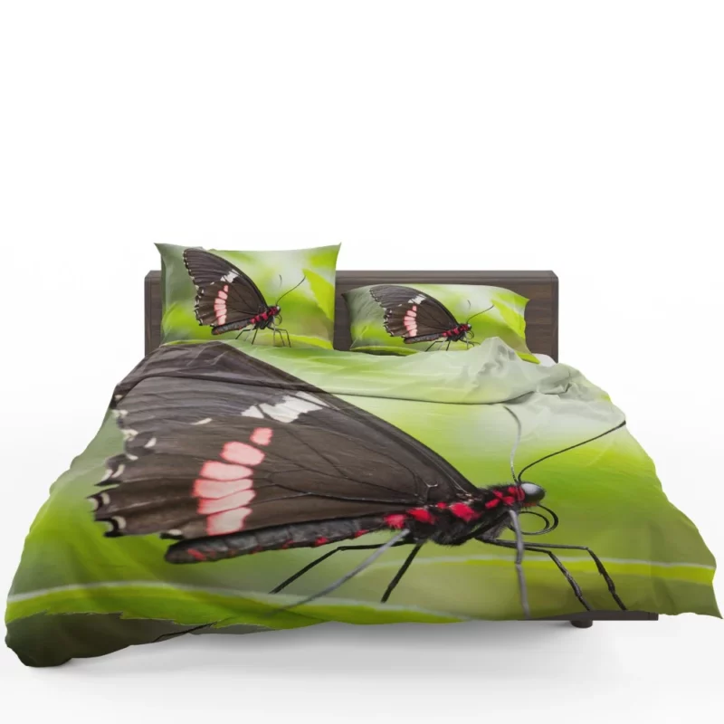 Butterfly Graceful Flight Nature Beauty Bedding Set