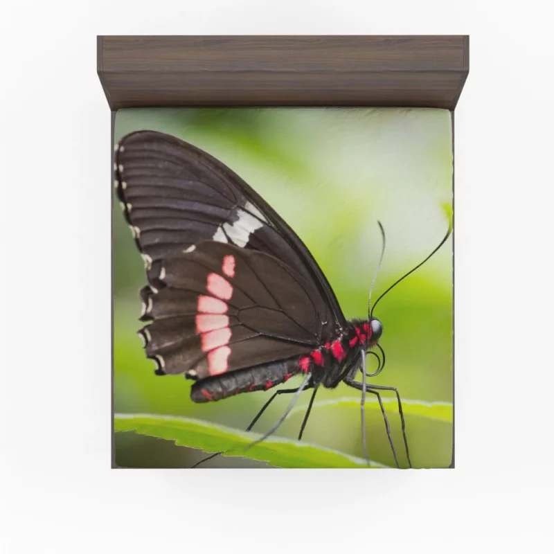 Butterfly Graceful Flight Nature Beauty Fitted Sheet 1