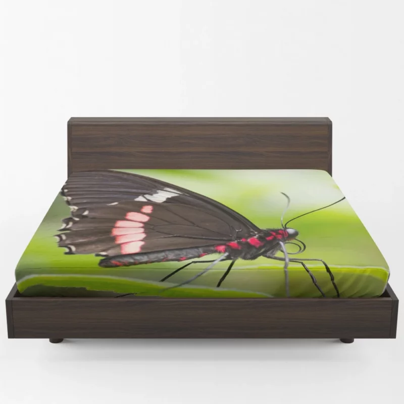 Butterfly Graceful Flight Nature Beauty Fitted Sheet