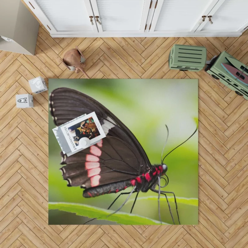 Butterfly Graceful Flight Nature Beauty Rug