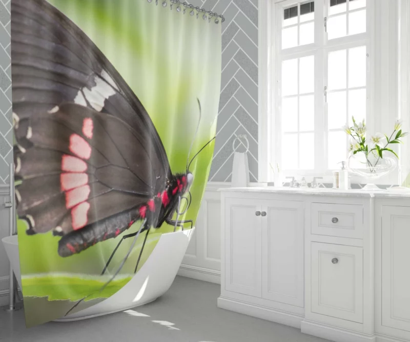 Butterfly Graceful Flight Nature Beauty Shower Curtain 1