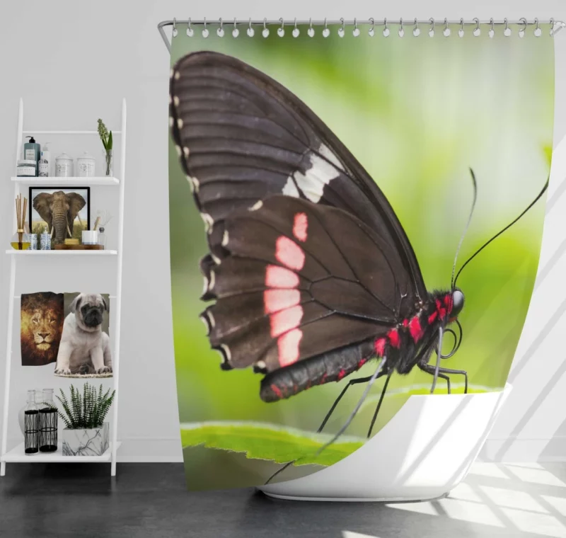 Butterfly Graceful Flight Nature Beauty Shower Curtain