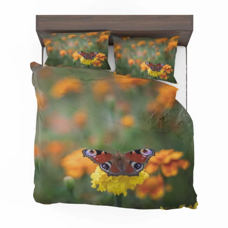 Butterfly Intricate Beauty Delicate Wings Bedding Set 1