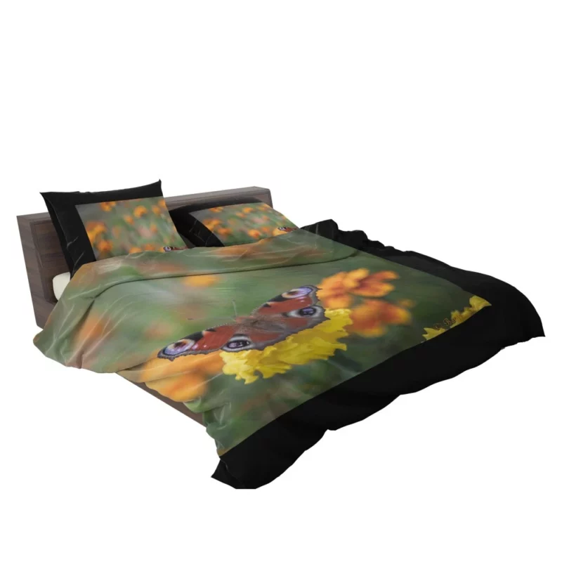 Butterfly Intricate Beauty Delicate Wings Bedding Set 2