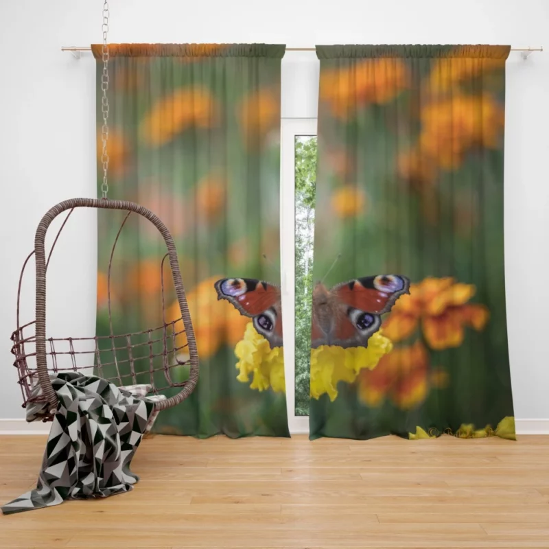 Butterfly Intricate Beauty Delicate Wings Curtain