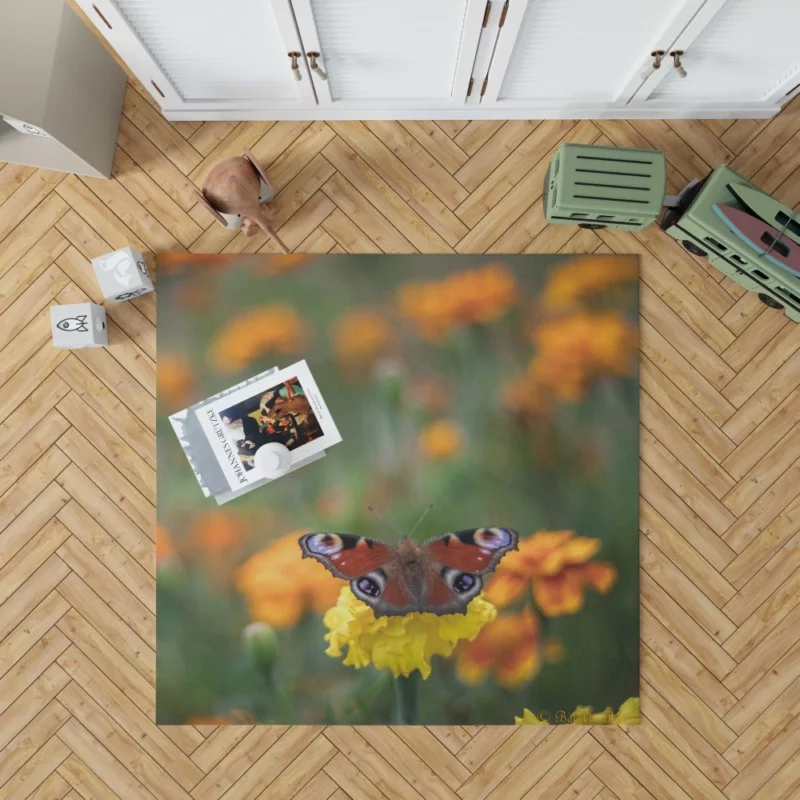 Butterfly Intricate Beauty Delicate Wings Rug