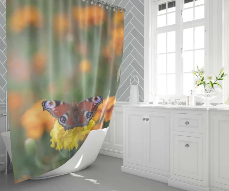 Butterfly Intricate Beauty Delicate Wings Shower Curtain 1