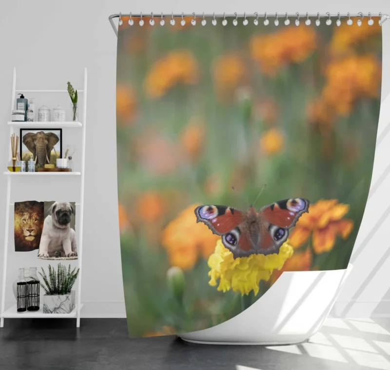 Butterfly Intricate Beauty Delicate Wings Shower Curtain