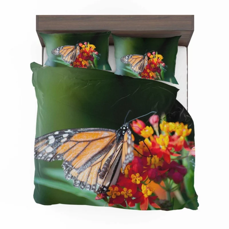 Butterfly Intricate Beauty in Macro Bedding Set 1