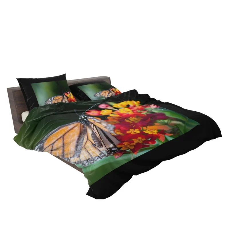 Butterfly Intricate Beauty in Macro Bedding Set 2