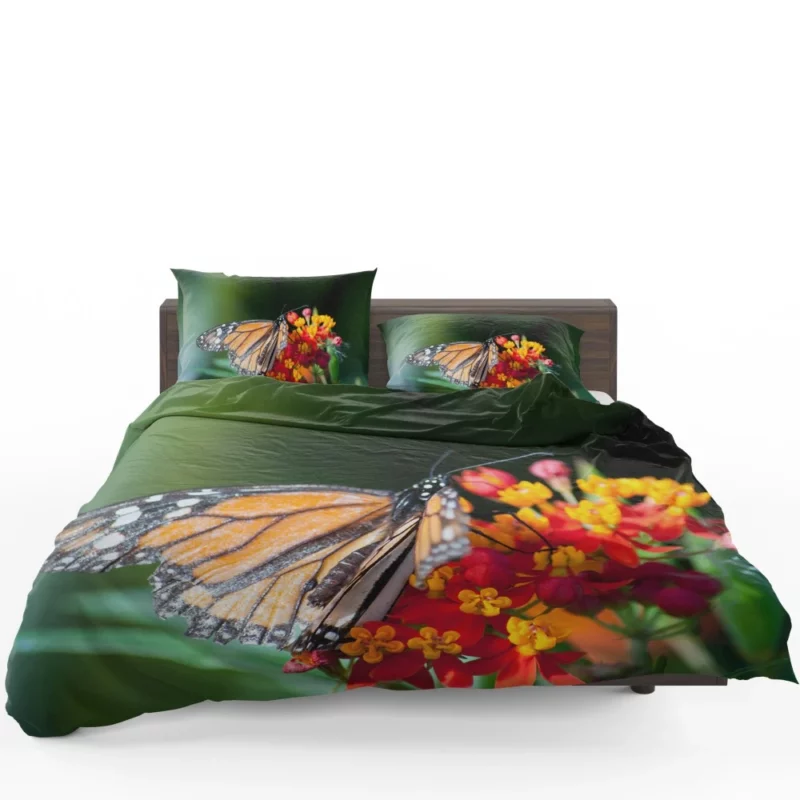 Butterfly Intricate Beauty in Macro Bedding Set