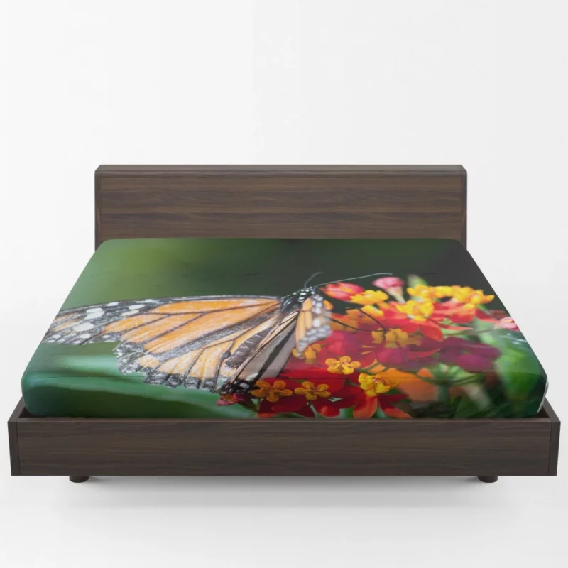 Butterfly Intricate Beauty in Macro Fitted Sheet