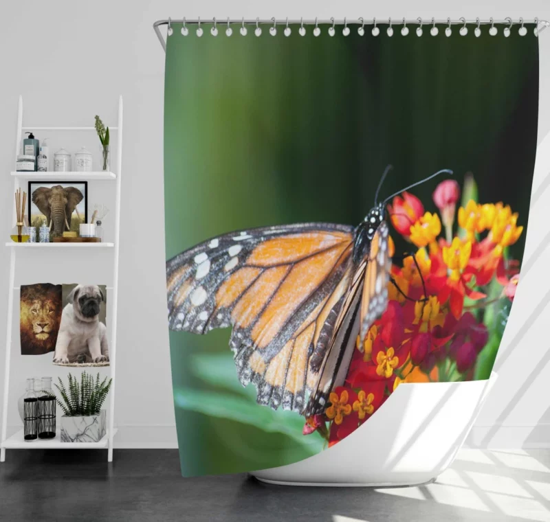 Butterfly Intricate Beauty in Macro Shower Curtain