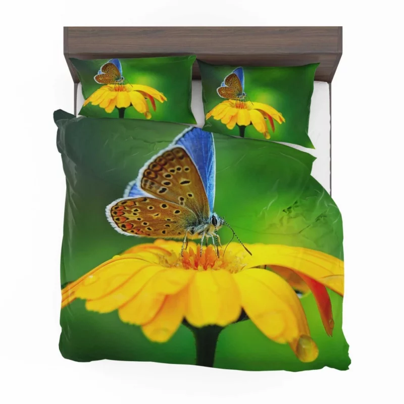 Butterfly Macro Elegance Floral Beauty Bedding Set 1