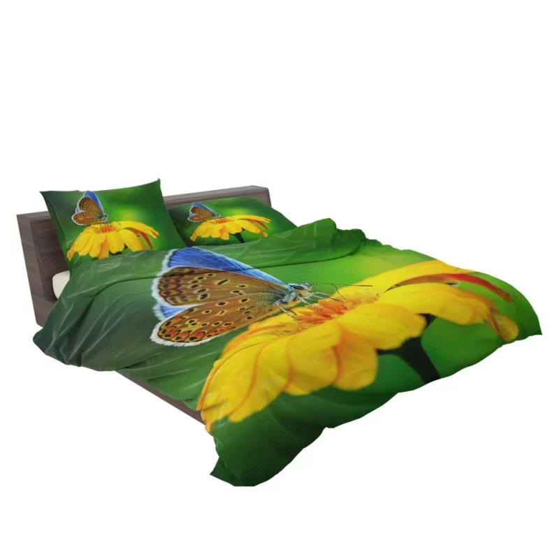 Butterfly Macro Elegance Floral Beauty Bedding Set 2