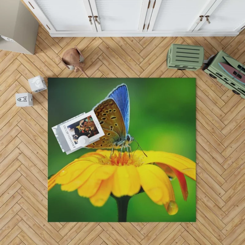 Butterfly Macro Elegance Floral Beauty Rug